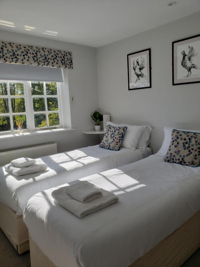 Watership Down Locanda Whitchurch (Hampshire)